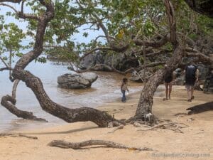 A sandy beach with twisted trees, a child near the water, two adults ahead on the shore, and rocky outcrops in calm water behind.
