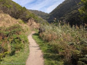 A dirt path winds through lush green bushes and tall grasses, leading to a set of stone steps ascending a hillside under a partly cloudy sky, surrounded by forested hills.