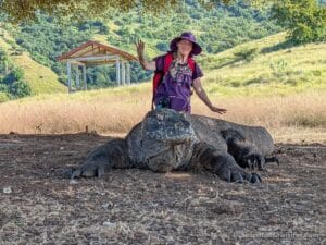 A woman in a purple hat smiles behind a very large Komodo dragon on grassy ground, with a wooden shelter and green hills in the background.